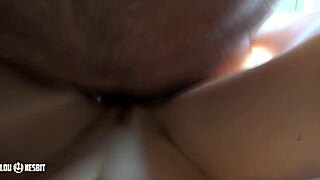 alles f�r fortnite d lou nesbit lia louise