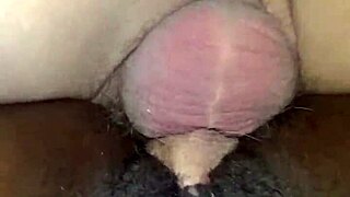 ebony woman getting eaten doggy style in interracial encounter