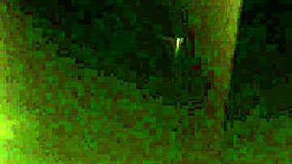 Fucking sister-in-law prostitute hard