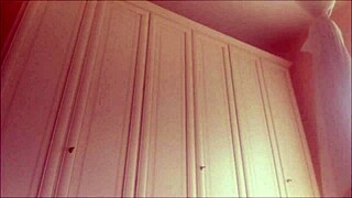 cute little brunette kitten having fun 😊