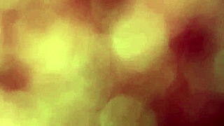 Latina Ass Pays Rent with Mexican Amateur