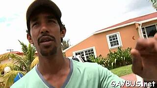 what's the best free homosexual porn site online?