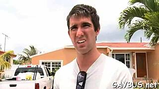 what's the best free homosexual porn site online?