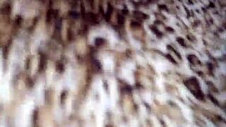 Bitch Can't Get Enough Of My Cock!