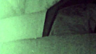 dark lantern entertainment unveils two centuries of raw vintage milf action