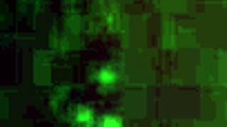 Specific Argentinian Video File With Unique Identifier