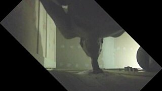 Stallion gets sucked dry in intense glory hole action!