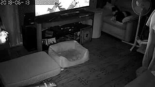 Wife's surprising blowjob skills