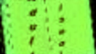 Summertime Saga Episode 220 Featuring Amateur Homemade Adventures