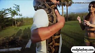 Yo, check these lovely badass babes visiting cranky crocs in bikinis 😍