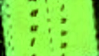 I can't believe summertime saga 195 is so erotic with all that hentai, it's making me blush!