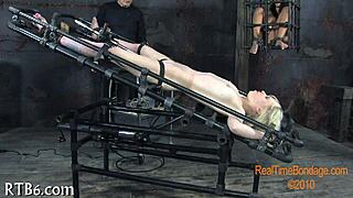 Beauty casually takes on a monstrous challenge for fun