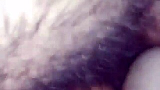 candii rose tight pussy creampie