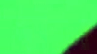 Amateur Video Capture Intriguing Moments