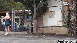 these teen girls are sharking everywhere, flashing tits and having wild sex.