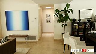 hey, caught my pervy stepbrother with stepsister amirah adara... things got wild! 😈