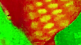 I watched angelg and kuzz's halloween interracial bbw special.