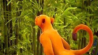 i experience wild life with lesbian adventures