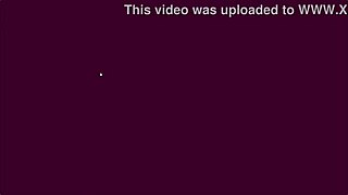 Rodeo with Adult Vault Girls