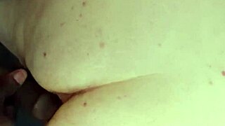 Ugh, I meant Alegrab’s fat ass stretched by doc!