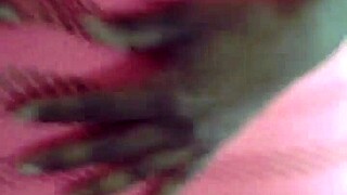 innocent ebony in philly sucks white cock