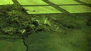 Brazilian teen in bdsm domination scene