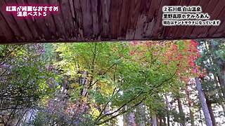 I really like sharing this Nanachi experience with you all