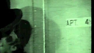 Dark Lantern Presents Vintage Taboo Family Erotic Confessions