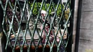 i watch chaconne deepthroat aya in public