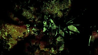 vintage art featuring retro anime and antique cartoon styles