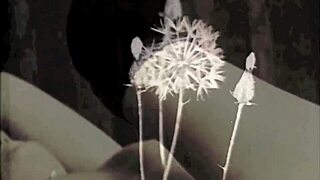 Dark Lantern Entertainment Unveils Two Centuries of Hairy Vintage Milf Porn