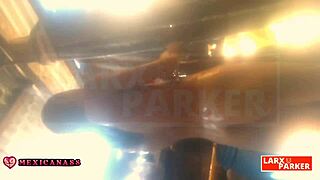 Kassandra masturbates in her bathroom for a virtual casting until she finishes.