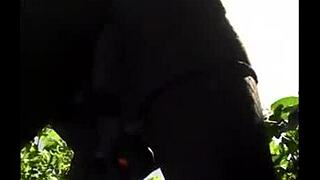 yo, flexible ebony babe gets outdoor pussy pounding hard