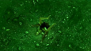 Oh God, Fucking in Skyrim Sex Mods!