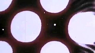 vintage erotic drawings bring old-school charm to steamy cartoon art