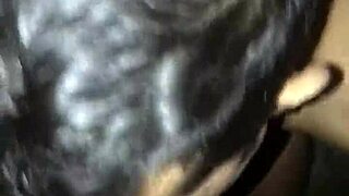 Deepthroat gagging on big cock at the gloryhole bareback