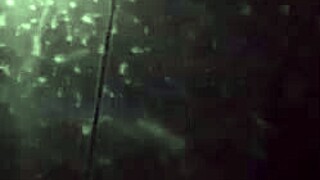 intense home sex in car with bent over doggystyle