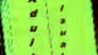 Whoa! What’s Happening in Harem Hotel 54 Right Now?