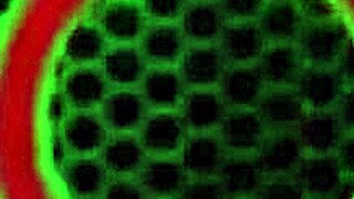 Sara Jay Dives into Lesbian Sex by the Pool