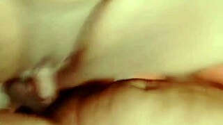 sundaydogood614 update 530 vid 20241012 133831 oct 12 2024