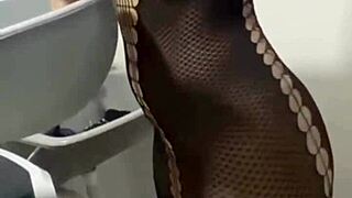 I hired this maid in that dress