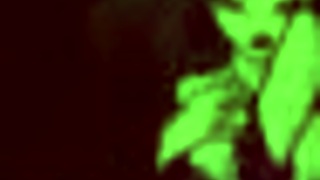 oh wow, star wars orange trainer part 3 is so intense!