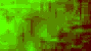 Watch My Wife Get Fucked Doggy Style!