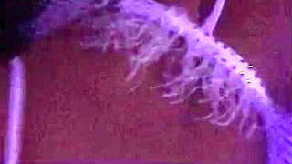 This bitch rents a hotel to bang all night in lingerie