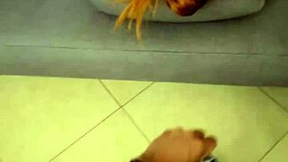 I was doin mutual masturbashun with my sister-in-law while watchin her Christmas movies