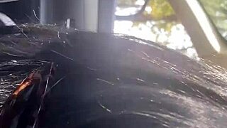 MILFycalla asks, Need a Ride? in Episode 4.