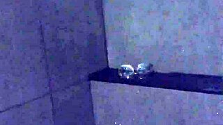 एशियन स्लट वाइफ जिम शावर में डिल्डो और वाइब्रेटर से मस्ती करती है