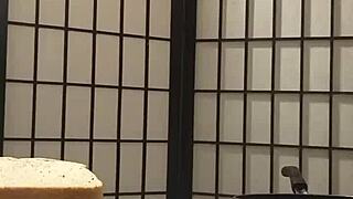 cooking with llamasr after dark for free3