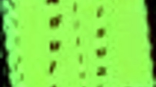 My new family 365 explores family dynamics