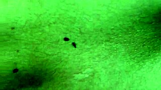 So there I was in the dark room with my Brazilian cousin, sliding into her tight asshole for the first time as she moaned like a slut.